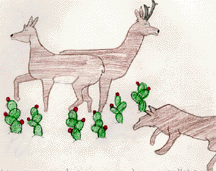 The drawing shows two antelope, a coyote, and prickly pear cactus.
