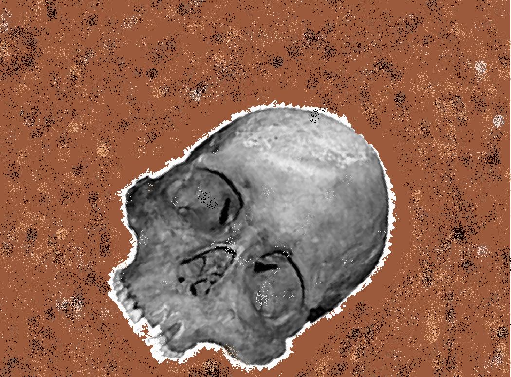 Marisa's drawing of the skull.