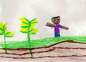 This drawing shows a boy in a cornfield.
