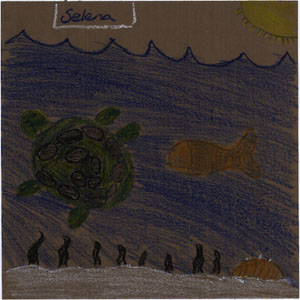 shows an underwater scene with a turtle, a fish, and a shell.  Sea grass is also drawn with a yellow sun at the top.