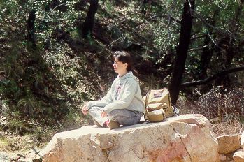 This is a photograph of Lisa Martin sitting on a large rock in the woods