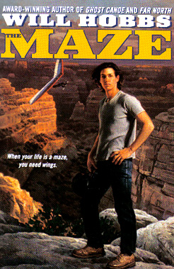 The book jacket shows Rick Walker standing in front of the canyon called "the maze."