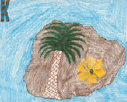 The drawing of the island includes a palm tree and a flower.