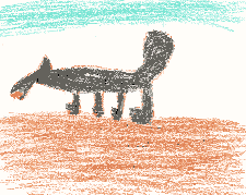 This is a drawing of the coyote.