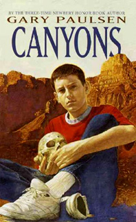 Book Jacket for Canyons