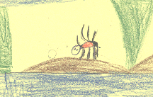 The drawing shows a tarantula.
