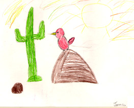 Jennifer drew a cactus wren upon a big rock that was facing a saguaro cactus.