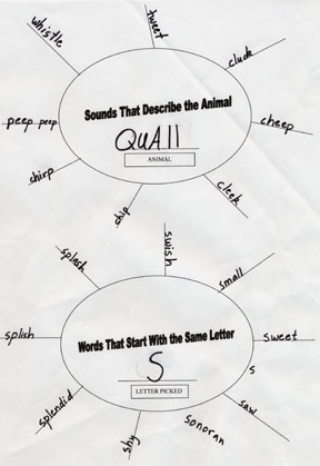 This is the brainstorm web of the Quail.