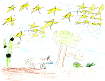 The drawing shows a saguaro, a coyote, and a tree with many stars in the sky.