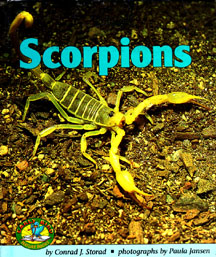 Book jacket shows a scorpion with it's tail up, on a dirt and rock background.