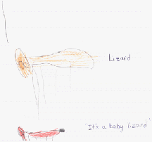 The drawing shows a parent and baby lizard.