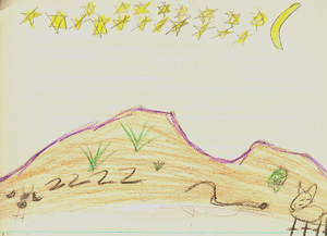 This is Alexis's drawing of her desert animals.