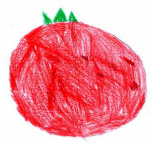 Aaron's tomato